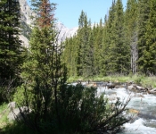 Montana2008 357
